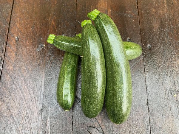 Courgette tempra